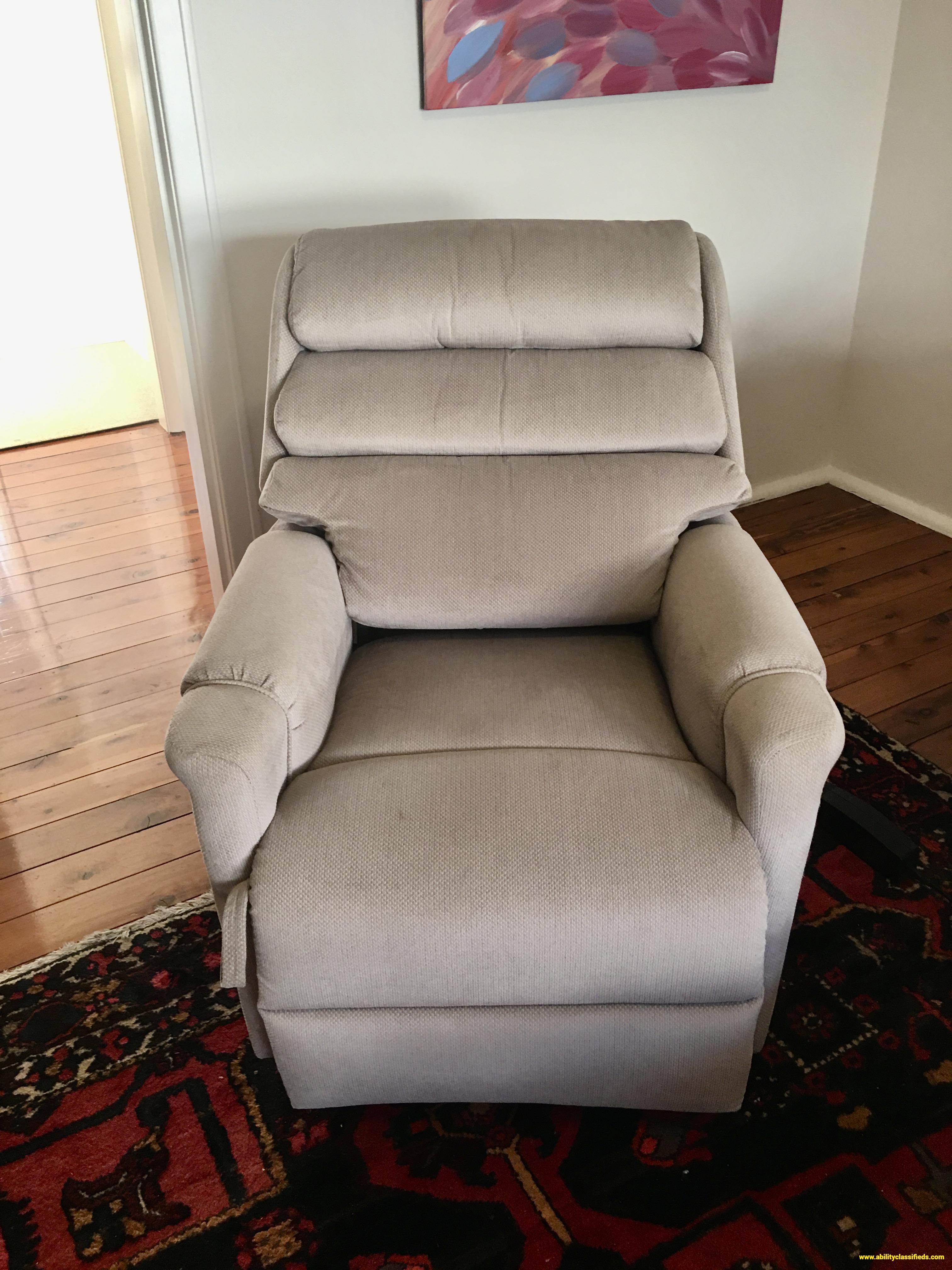 LIFT AND RECLINE CHAIR - PETITE